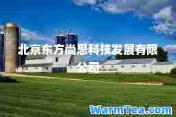 北京东方尚思科技发展有限公司