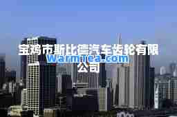宝鸡市斯比德汽车齿轮有限公司