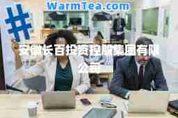 安徽长百投资控股集团有限公司