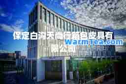 保定白沟天尚行箱包皮具有限公司