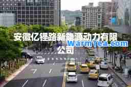 安徽亿锂路新能源动力有限公司