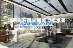 北京东方风光新能源技术有限公司