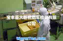 宝丰县大新机动车检测有限公司