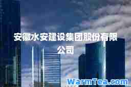 安徽水安建设集团股份有限公司 安徽水安建设集团股份有限公司