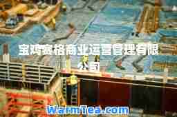 宝鸡赛格商业运营管理有限公司