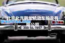 北京北汽鹏龙机动车拍卖有限公司