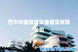 巴中林鑫建筑设备租赁有限公司
