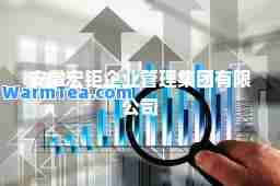 安徽宏钜企业管理集团有限公司