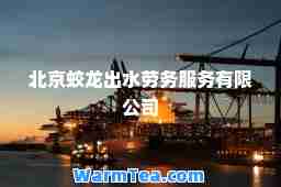 北京蛟龙出水劳务服务有限公司