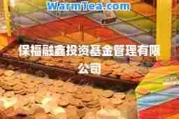 保福融鑫投资基金管理有限公司