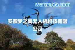 安徽梦之翼无人机科技有限公司