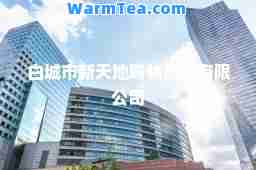白城市新天地购物广场有限公司