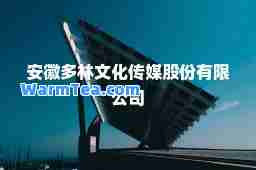 安徽多林文化传媒股份有限公司