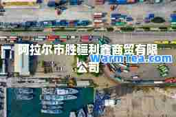 阿拉尔市胜疆利鑫商贸有限公司 阿拉尔市胜疆利鑫商贸有限公司