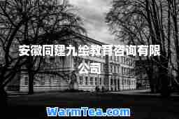 安徽同建九绘教育咨询有限公司
