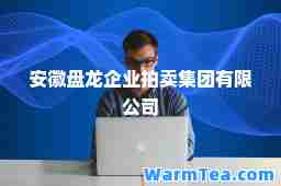 安徽盘龙企业拍卖集团有限公司