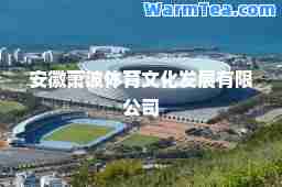 安徽萧波体育文化发展有限公司