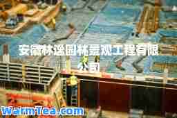 安徽林逸园林景观工程有限公司