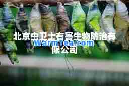 北京虫卫士有害生物防治有限公司