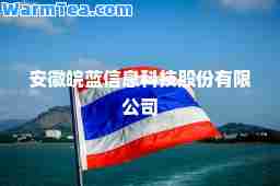 安徽皖蓝信息科技股份有限公司