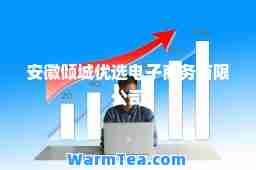 安徽倾城优选电子商务有限公司