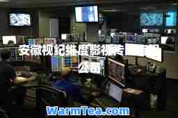 安徽视纪维度影视传媒有限公司