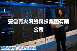 安徽青火网络科技集团有限公司
