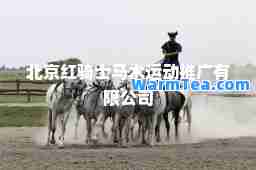 北京红骑士马术运动推广有限公司