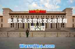 北京艾沃次世代文化传媒有限公司