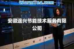安徽逸兴节能技术服务有限公司