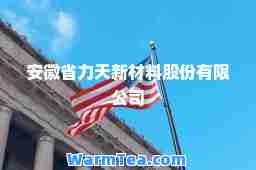 安徽省力天新材料股份有限公司