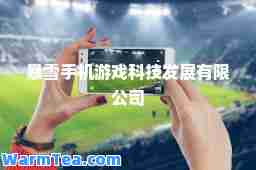 暴雪手机游戏科技发展有限公司