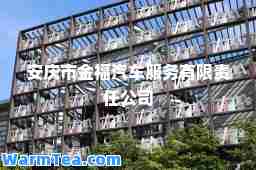 安庆市金福汽车服务有限责任公司