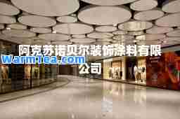 阿克苏诺贝尔装饰涂料有限公司