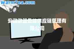 安徽徽盟云链供应链管理有限公司