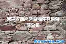 安徽大自然新型墙体材料有限公司