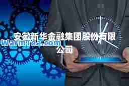 安徽新华金融集团股份有限公司