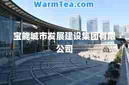 宝能城市发展建设集团有限公司