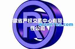 安徽省产权交易中心有限责任公司