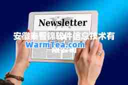 安徽泰智锦软件信息技术有限公司