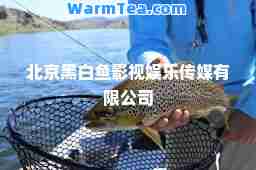 北京黑白鱼影视娱乐传媒有限公司