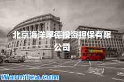 北京海洋厚德投资担保有限公司