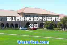 鞍山市鑫特瑞医疗器械有限公司