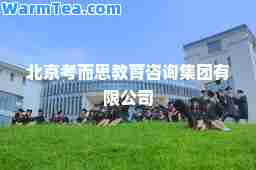 北京考而思教育咨询集团有限公司