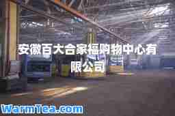 安徽百大家福购物中心有限公司