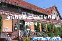 宝应县丽晨工艺玻璃制品有限公司