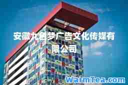 安徽九色梦广告文化传媒有限公司