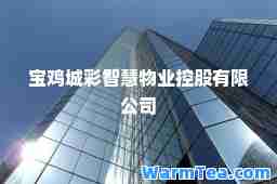 宝鸡城彩智慧物业控股有限公司