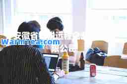 安徽省银税远程企业管理有限公司