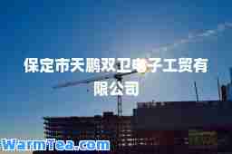 保定市天鹏双卫电子工贸有限公司